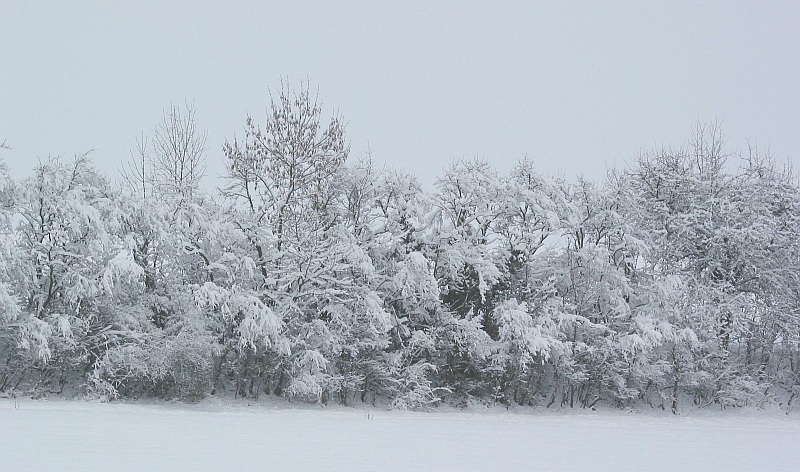 Tiefschnee in Brackenheim Dezember 2010