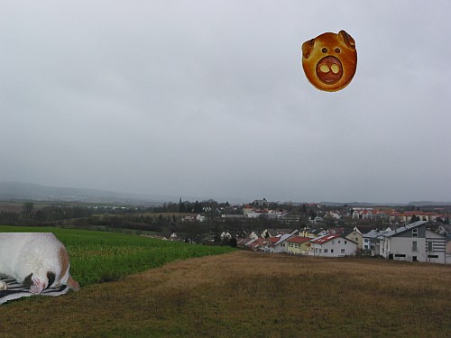 Grey Sky over Brackenheim | Germany