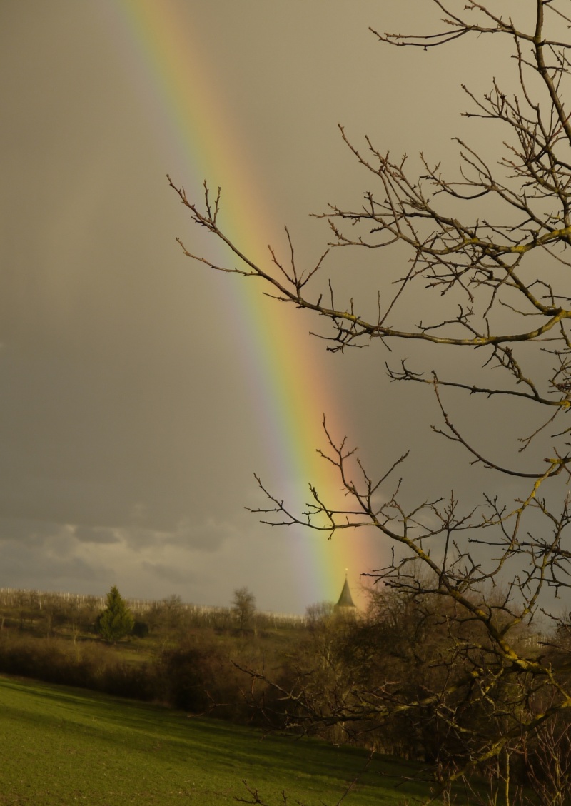 Regenbogen über Brackenheim | 20.03.2013