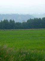 Aussichten Picture 9